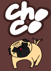 dog cute choco