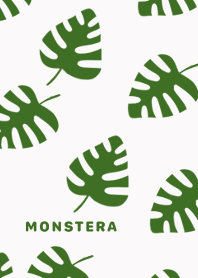 Monstera plants