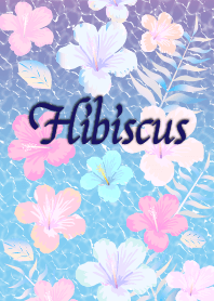 Hibiscus.[summer]