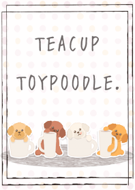 Teacup Poodle