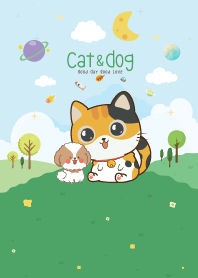 Chill Cat&Dog Sweet