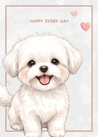 Maltese2/ Marble / Gray