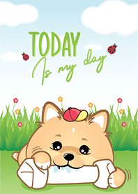 Mooga Happy Day