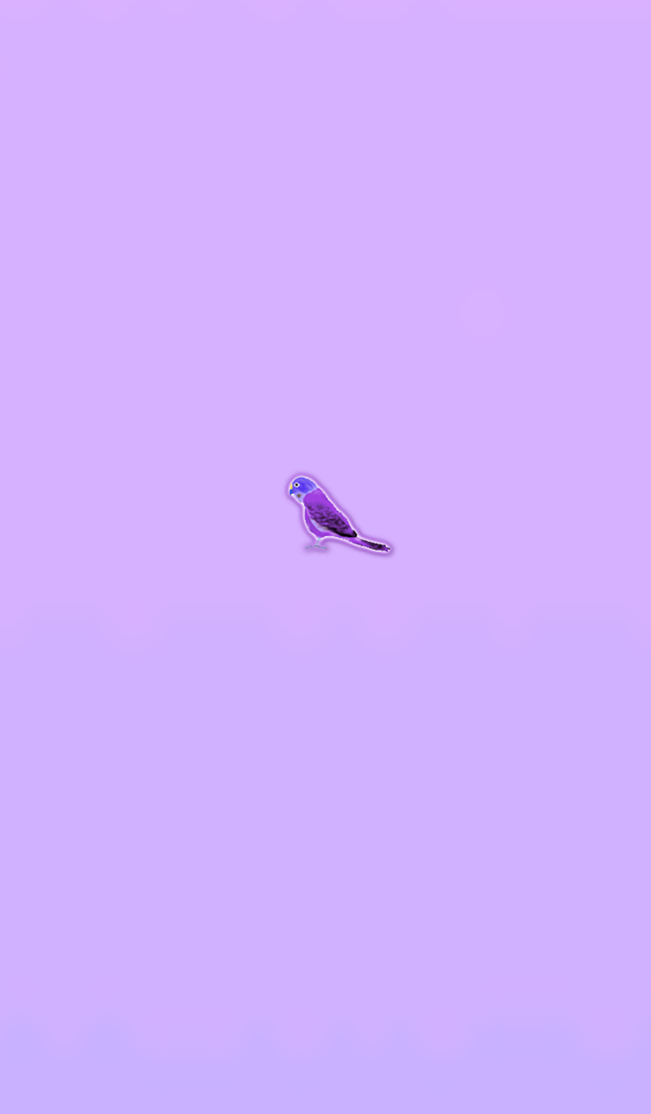 Simple lucky parakeet 6
