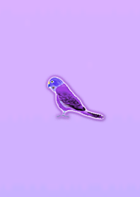 Simple lucky parakeet 6