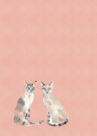 pink & blue 落ち着いた猫たち
