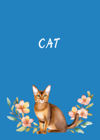 Abyssinian on blue
