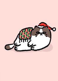 Lazy Cat in Winter