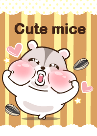 Rambo - Cute mice