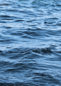 sea waves.