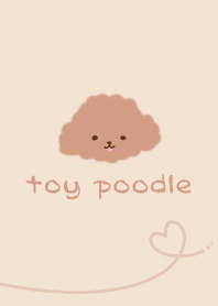 Unpretentious Toy Poodle