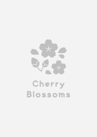 Cherry Blossoms4<Gray>