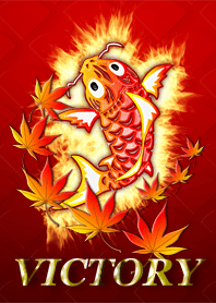 今日も赤鯉は、勝ち、勝ち、勝っち、勝っち