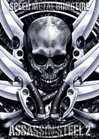 Assassin steel 2