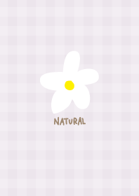 White flower natural23 from Japan