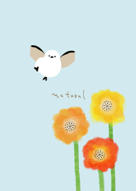 Long-tailed tit Poppy5