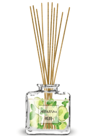 Diffuser -MOJITO-
