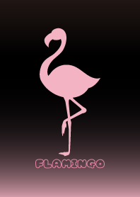 Flamingo Black & Pink 4