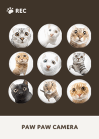 Paw Paw Camera -  Brown 04