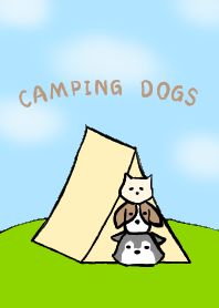 camping dogs