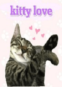 Cute cat, wonderful and drifting theme