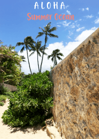 ALOHA Summer Ocean Lanikai 11
