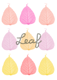 Leaf2-colorful-