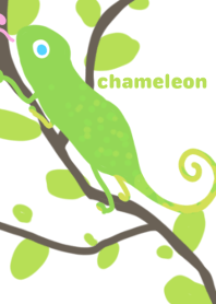 The Chameleons