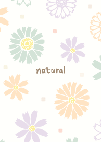 Spring blooms Square13 from Japan