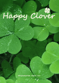 Four-leaf clover to be happy