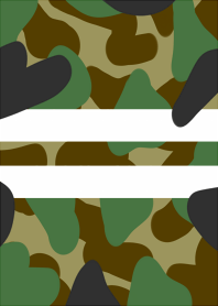 Two lines. camouflage