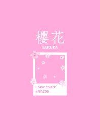 Minimalism Time_Sakura