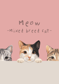 Meow -Mixed breed cat 01- PINK LEMONADE