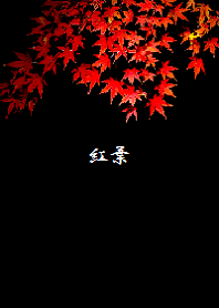 日本の紅葉