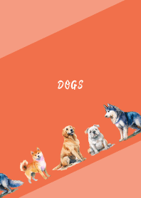 The good dogs2 on red & yellow