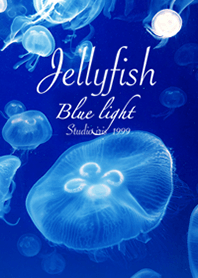 くらげ Blue Light Jellyfish