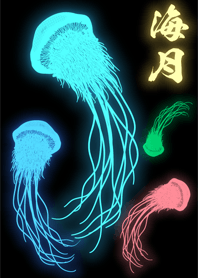 クラゲ 1