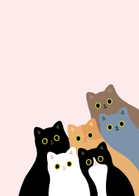 แมว แมว แมว เหมียว_สีชมพู1