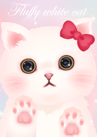 Fluffy white cat