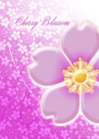 CHERRY BLOSSOM-season series-spring