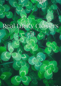 Real Lucky Clovers #51