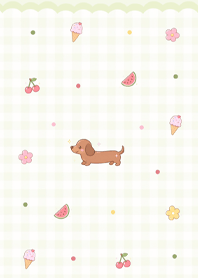 Cute Dachshund dog (Pp)