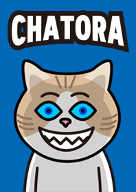 CHATORAN CAT