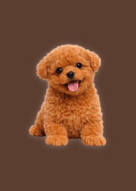 Plush Toy Poodle Brown 01