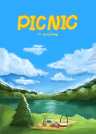Picnic in sunshine