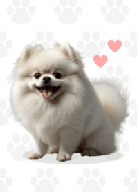 Cute Pomeranian Theme B/W 03