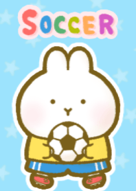 *うさぎサッカー*