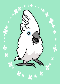 いつでもタイハクオウム　グリーン