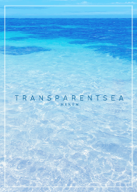 TRANSPARENT SEA 4