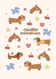 Dachshund & Cavalier : Minimal